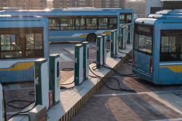 Ebuses_China_Koiguo